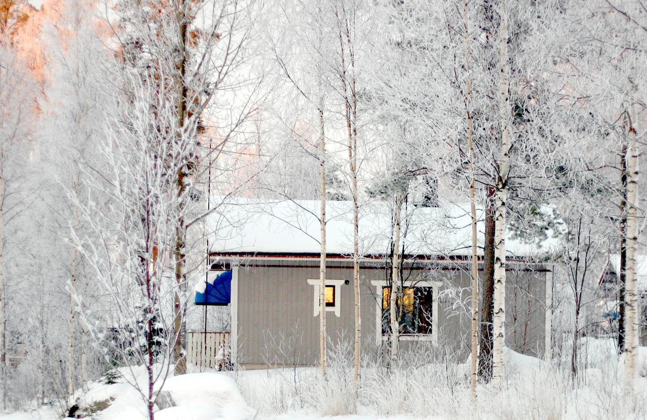 Chalet Revontuli *