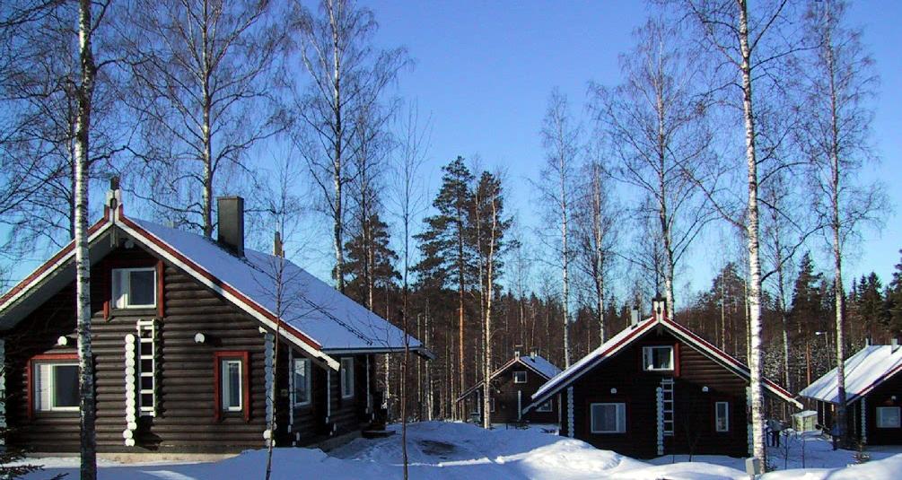 Chalet Revontuli *