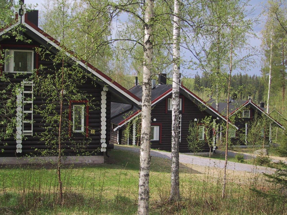 Revontuli Hankasalmi